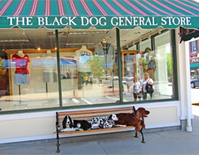 Black Dog, Mashpee Commons